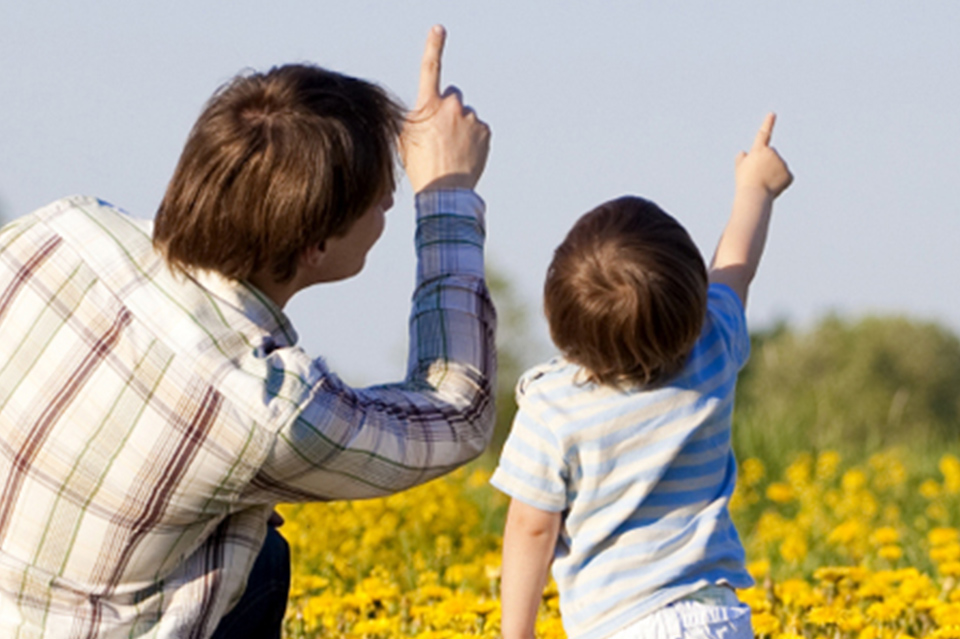 Florida Wind insurance Coverage